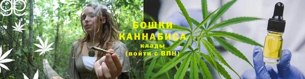 прущие грибы Алексеевка