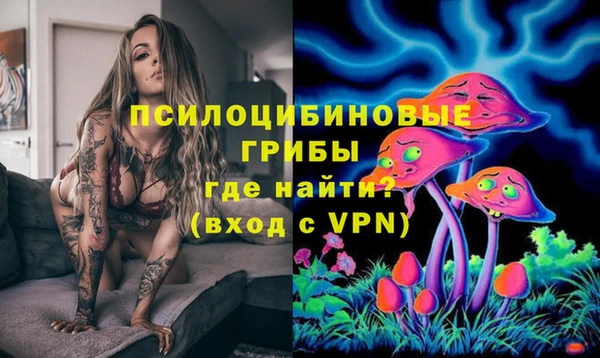 сатива Арсеньев