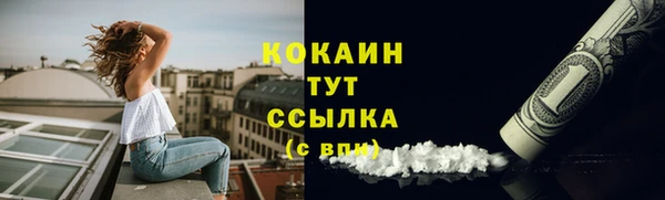 сатива Арсеньев