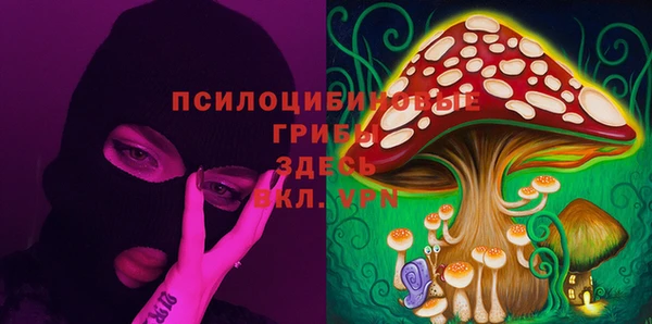 ПСИЛОЦИБИНОВЫЕ ГРИБЫ Алексин